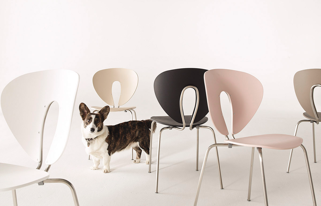 stua-globus-dwr-ig-1200.webp